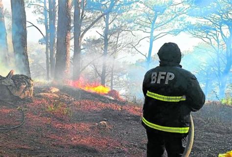 Baguio, Benguet forest fires worsened by strong winds .